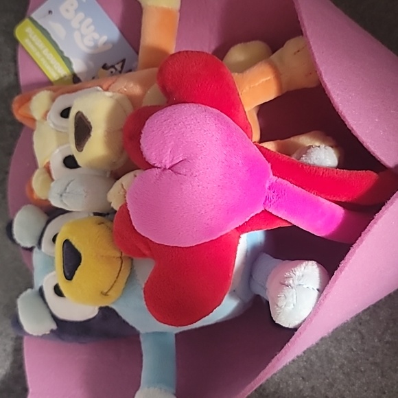 Bluey plush Valentines Bouquet!!!!! - Picture 2 of 6